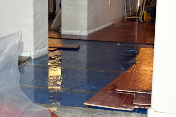 Professional Burst Pipe Cleanup technician working in Jay, ME
